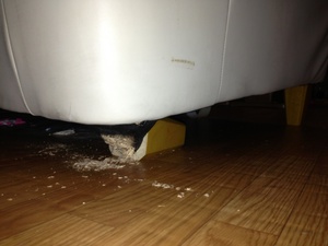 またやりやがった！