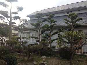 植栽撤去工事！