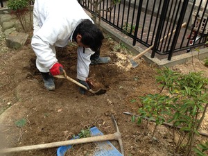 植栽撤去工事！