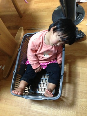カゴの中！