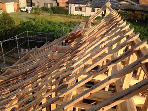 本格入母屋造の土壁平屋建て新築工事の屋根垂木打ち工！