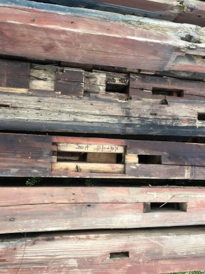 やっぱり出ました！