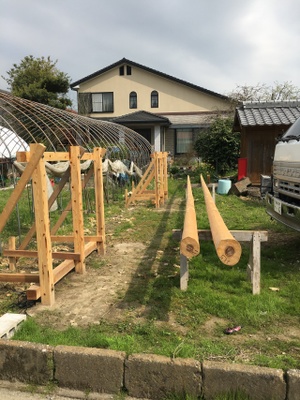 鯉のぼり竿建て！