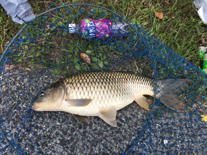 コロナウイルス感染拡大に伴う緊急事態宣言による我が家の過ごし方！