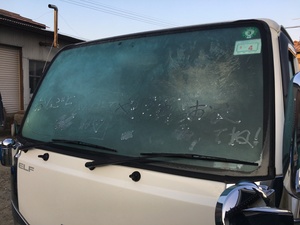 良い子に育ってます(^^)