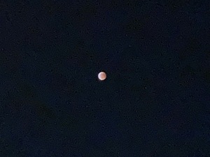 皆既月食。ガラにもなく撮ってみた(^^)