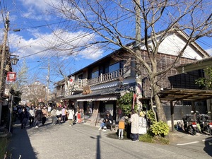 遅くなりましたが…。